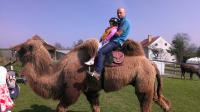 Camel trip 2 – 4 April 2014